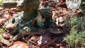 Fairy Garden (12)