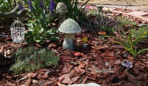 Fairy Garden (14)