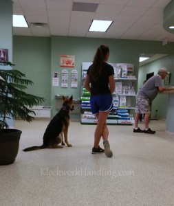 Alli with Katelyn at Vet
